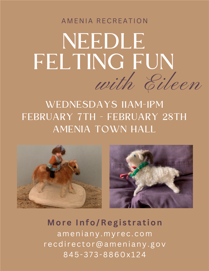 Amenia Parks and Recreation Needle Felting Fun